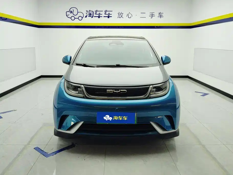BYD Dolphin 2022