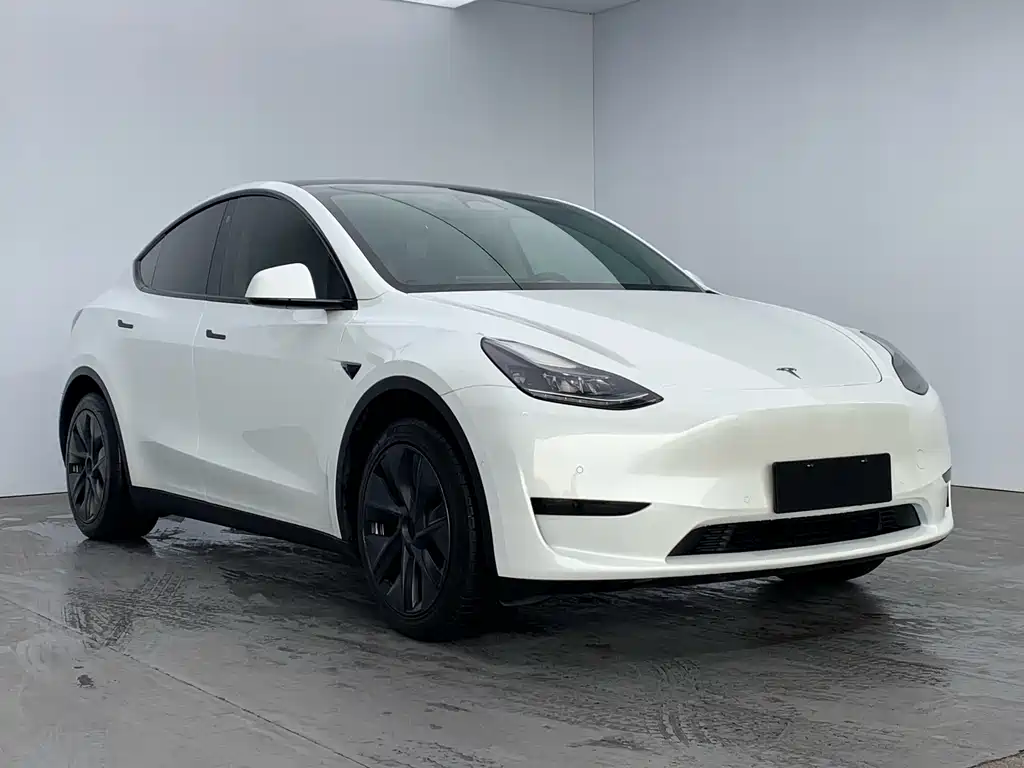 Tesla Model Y 2024 — фото 3