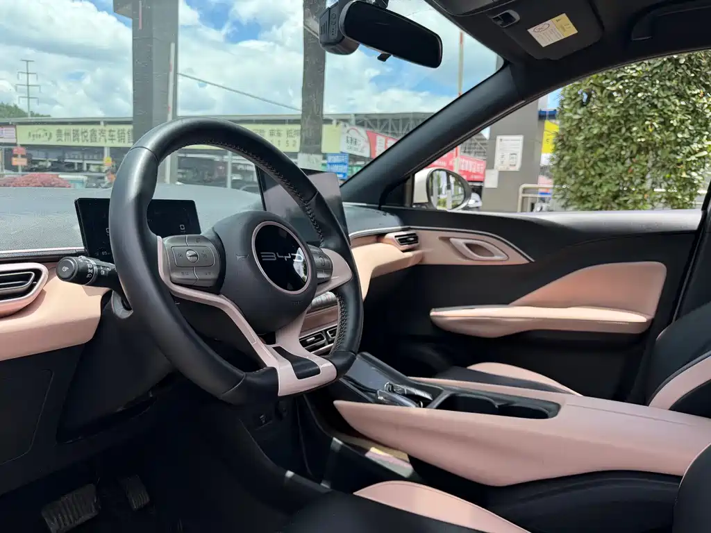 BYD Seagull 2024