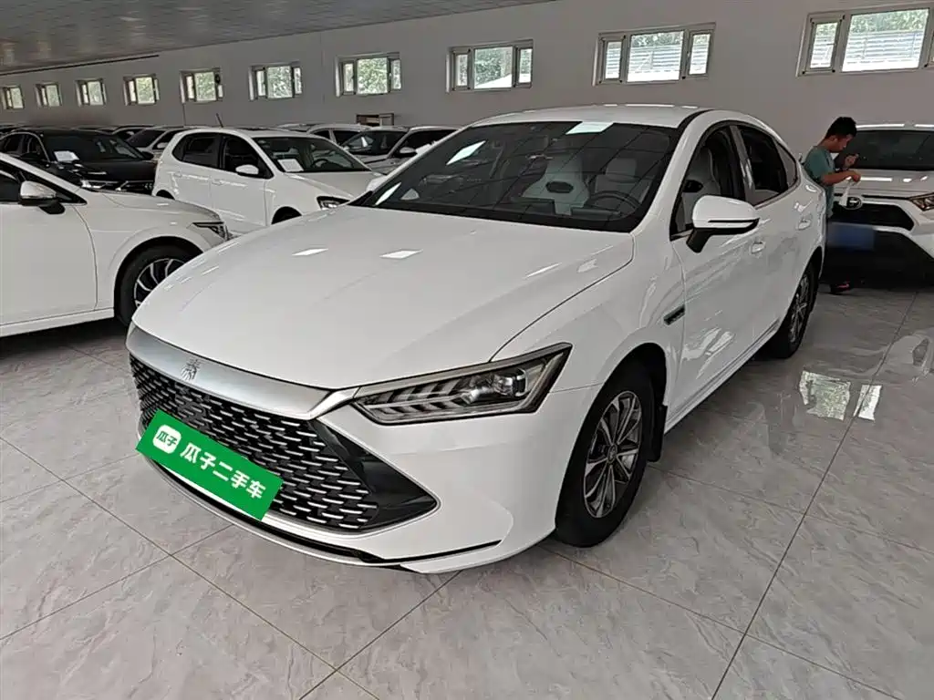 BYD Qin PLUS 2024 — фото 2