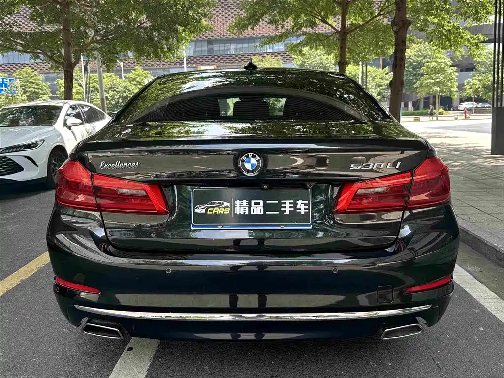 BMW 5 Series 2019 — фото 8