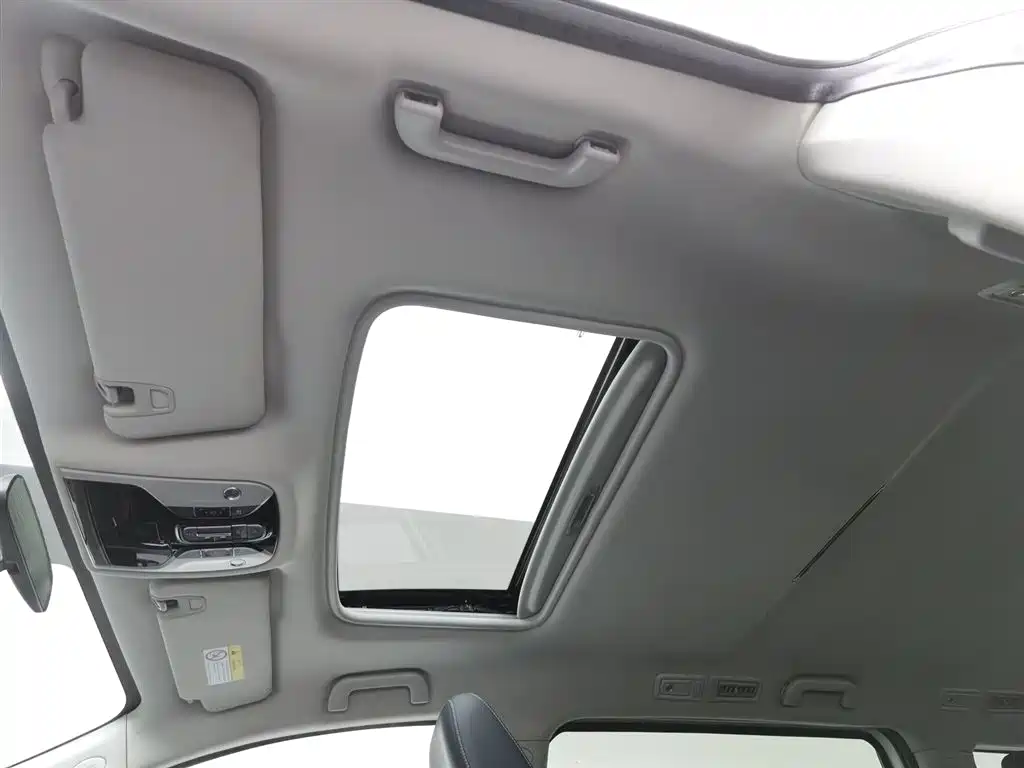 GAC Motor Trumpchi M8 2021 — фото 14