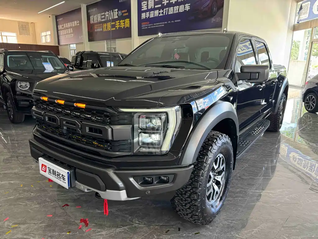 Ford F-150 Raptor 2024 — фото 8