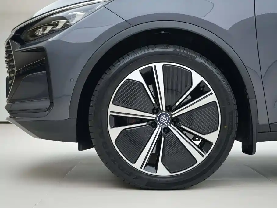 BYD Tang New Energy 2023 — фото 15