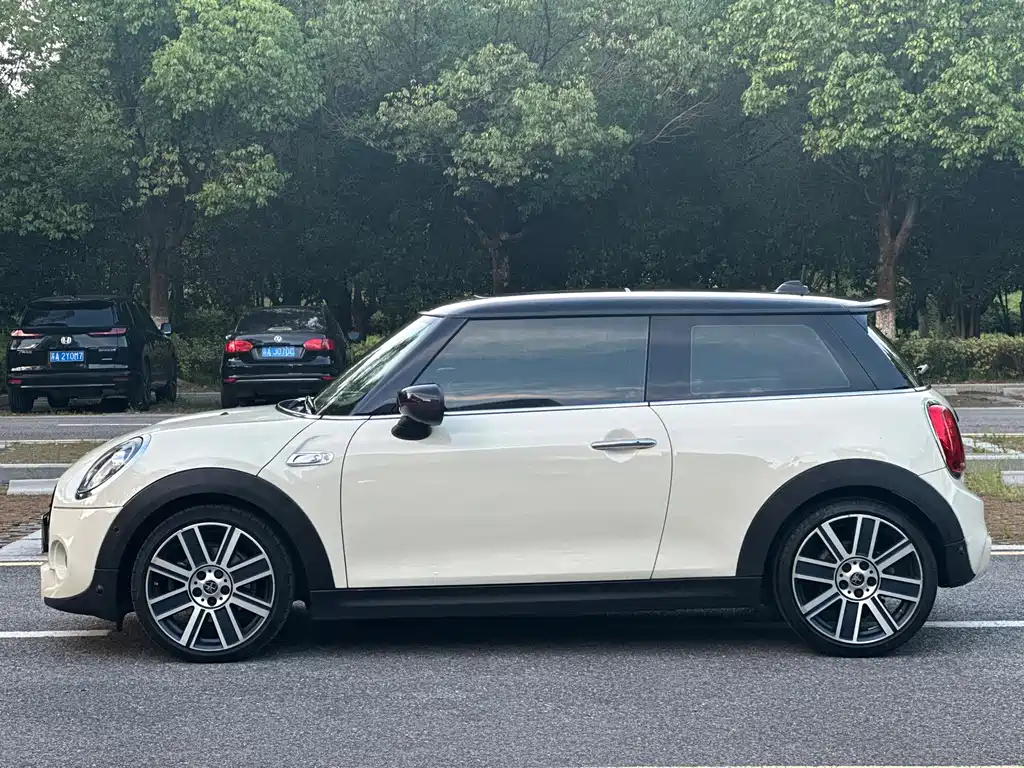MINI MINI 2020