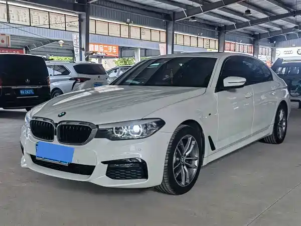 BMW 5 Series 2019