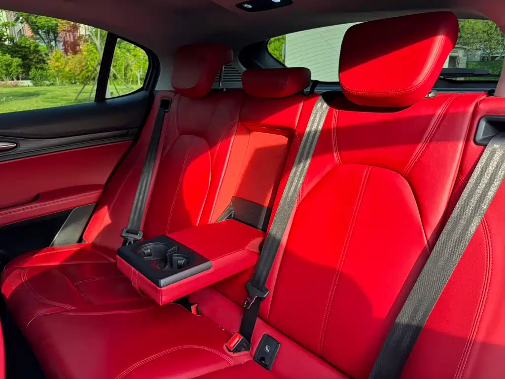 Alfa Romeo Stelvio 2019 — фото 15