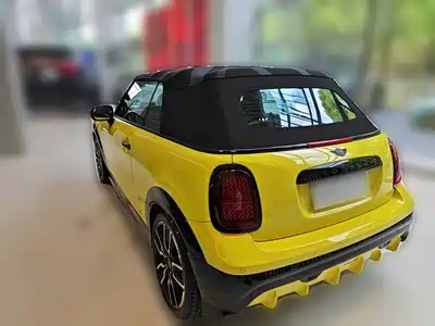 MINI MINI 2025