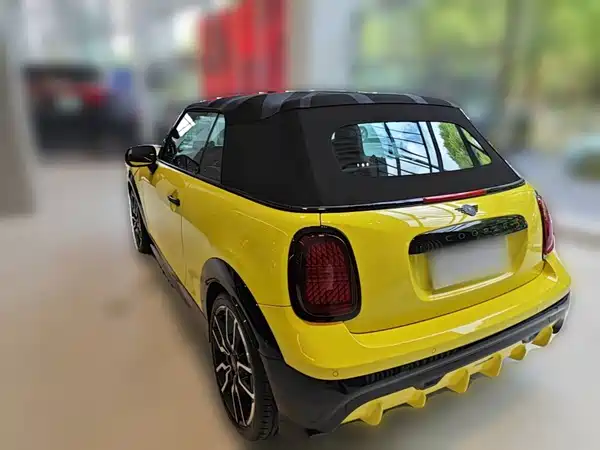 MINI MINI 2025