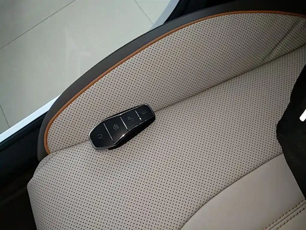 BYD Pro New Energy 2023 — фото 9