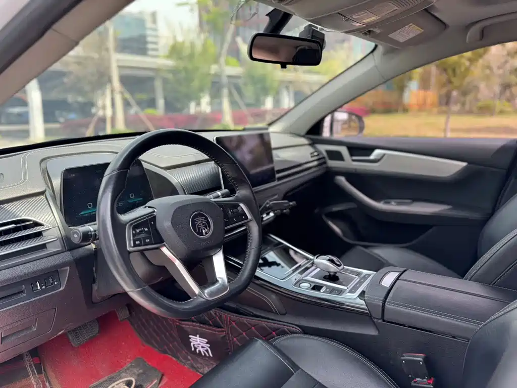 BYD Qin Pro NEV 2020 — фото 10