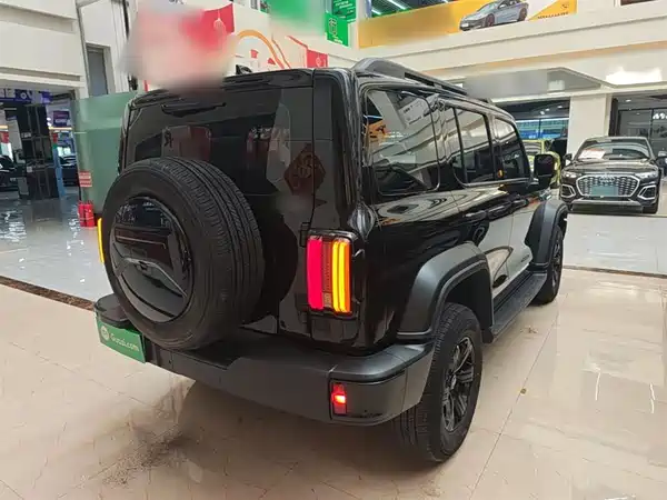 Tank 300 2024