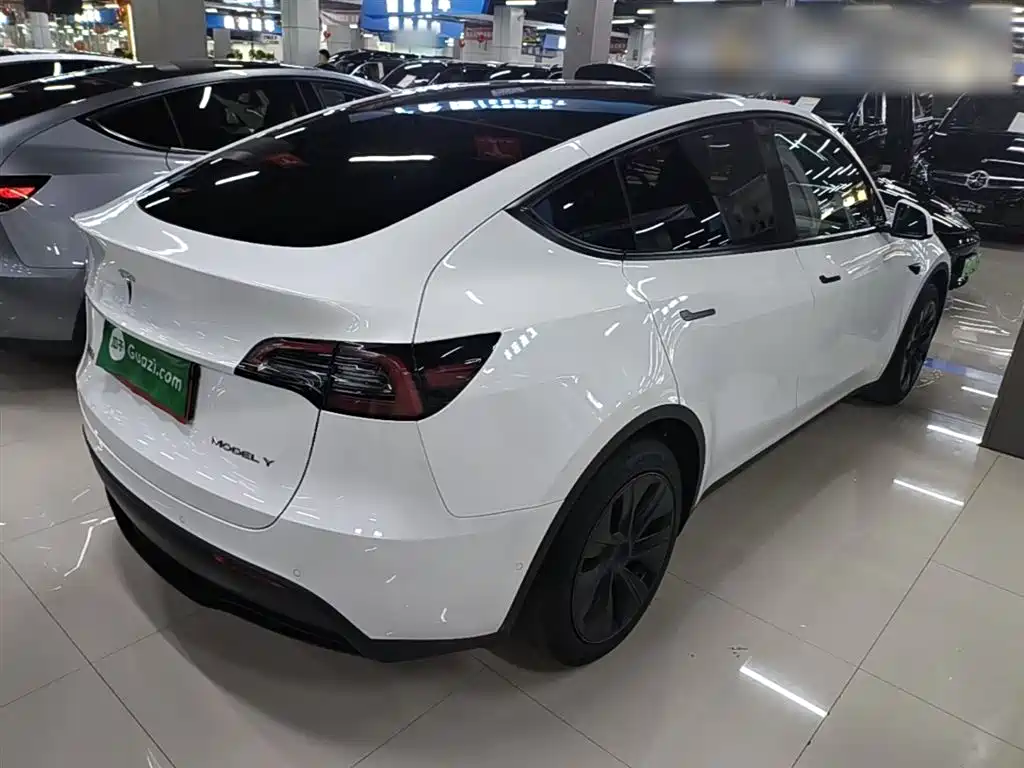 Tesla Model Y 2023 — фото 7