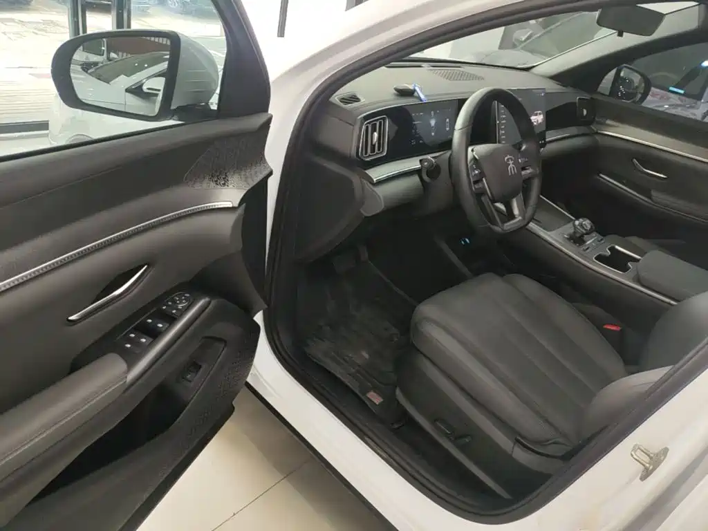 BYD Song Pro New Energy 2025 — фото 16