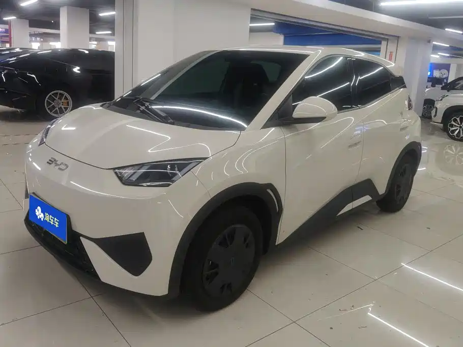 BYD Seagull 2025