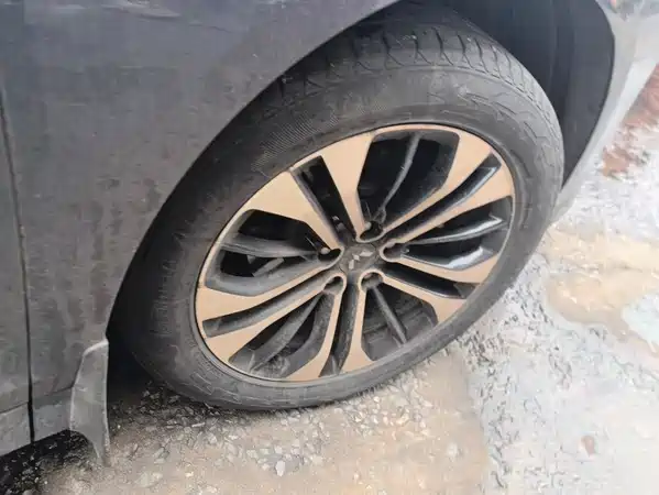 Wuling Victory 2021
