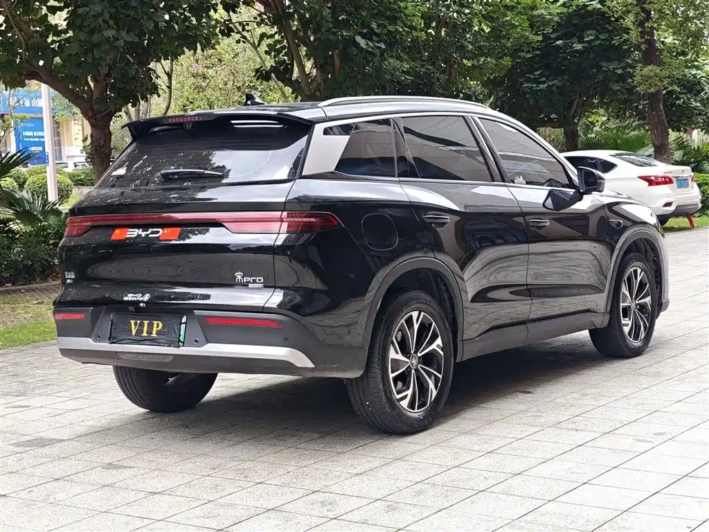 BYD Pro New Energy 2025 — фото 14