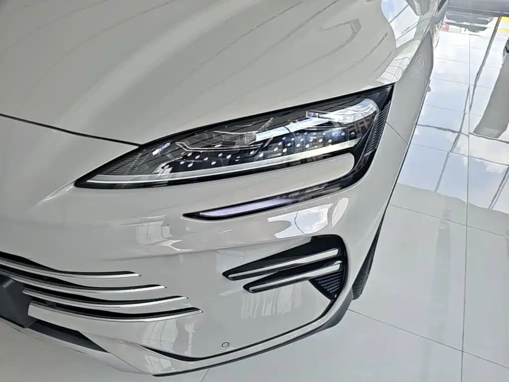 BYD Song PLUS New Energy 2025 — фото 24