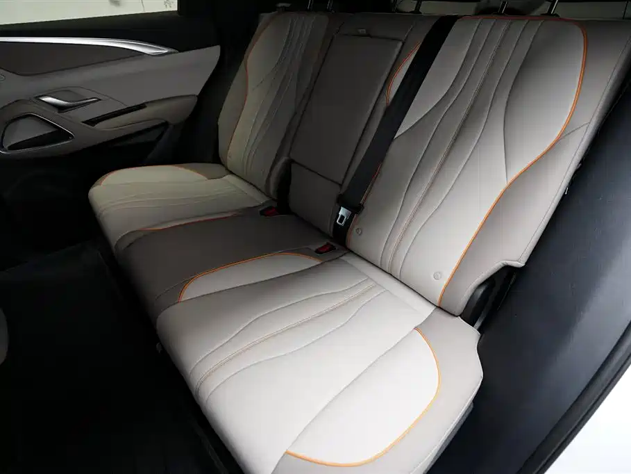 BYD Pro New Energy 2025 — фото 13