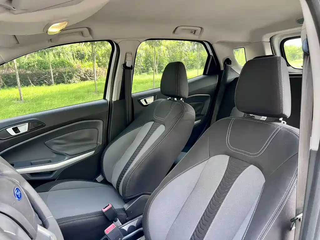 Ford EcoSport 2013 — фото 13