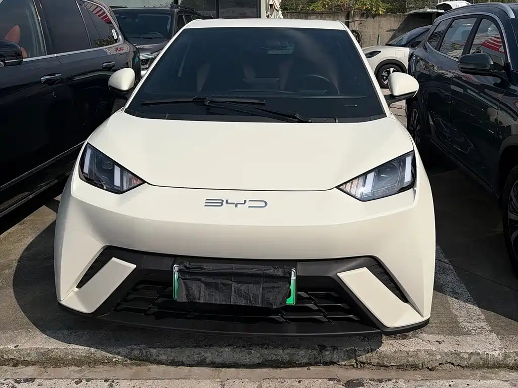 BYD Seagull 2024