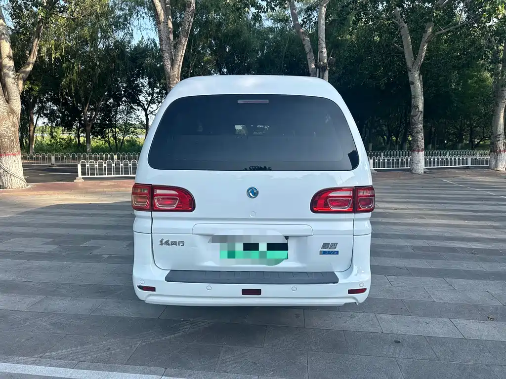 Fengxing Lingzhi New Energy 2021