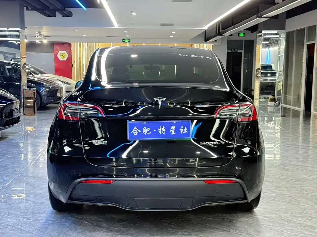 Tesla Model Y 2021 — фото 9