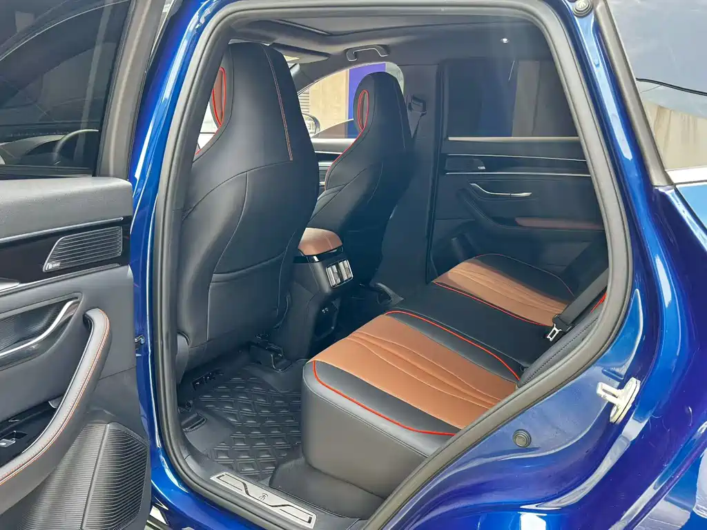 BYD PLUS New Energy 2022 — фото 6