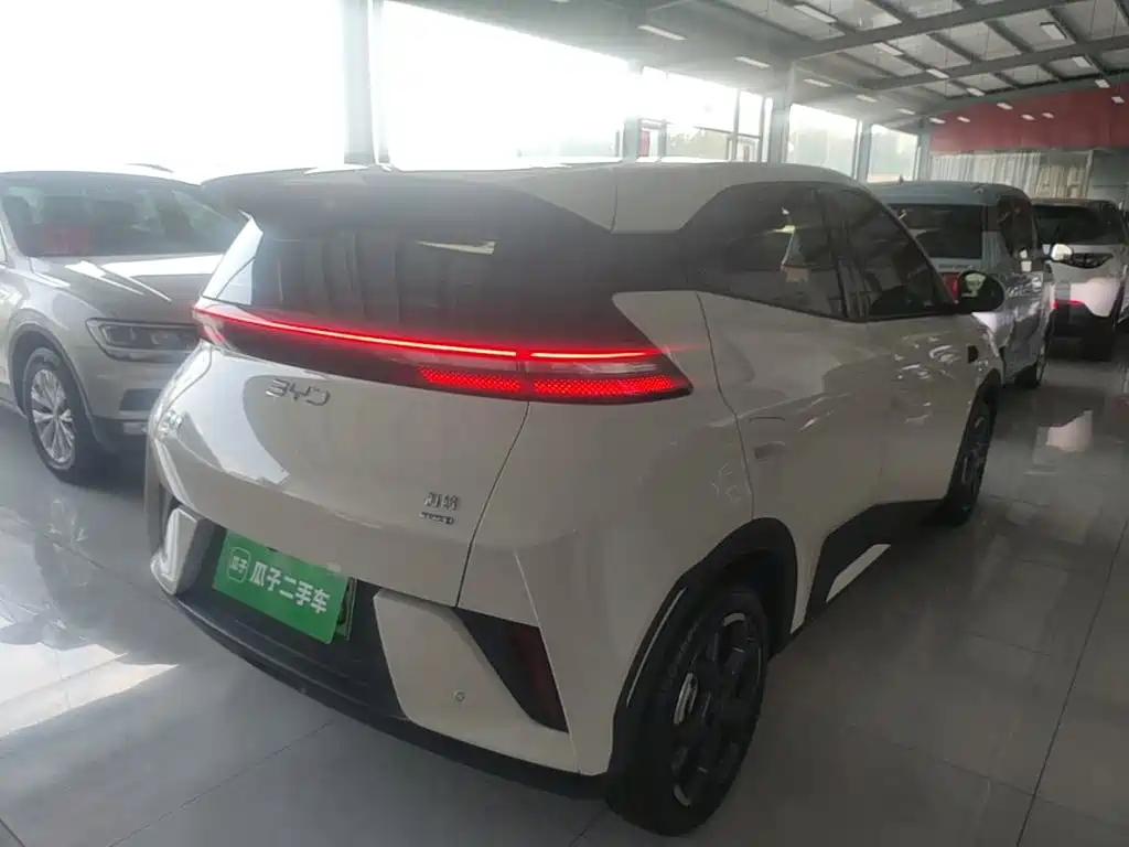 BYD Seagull 2025