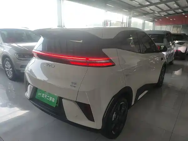 BYD Seagull 2025