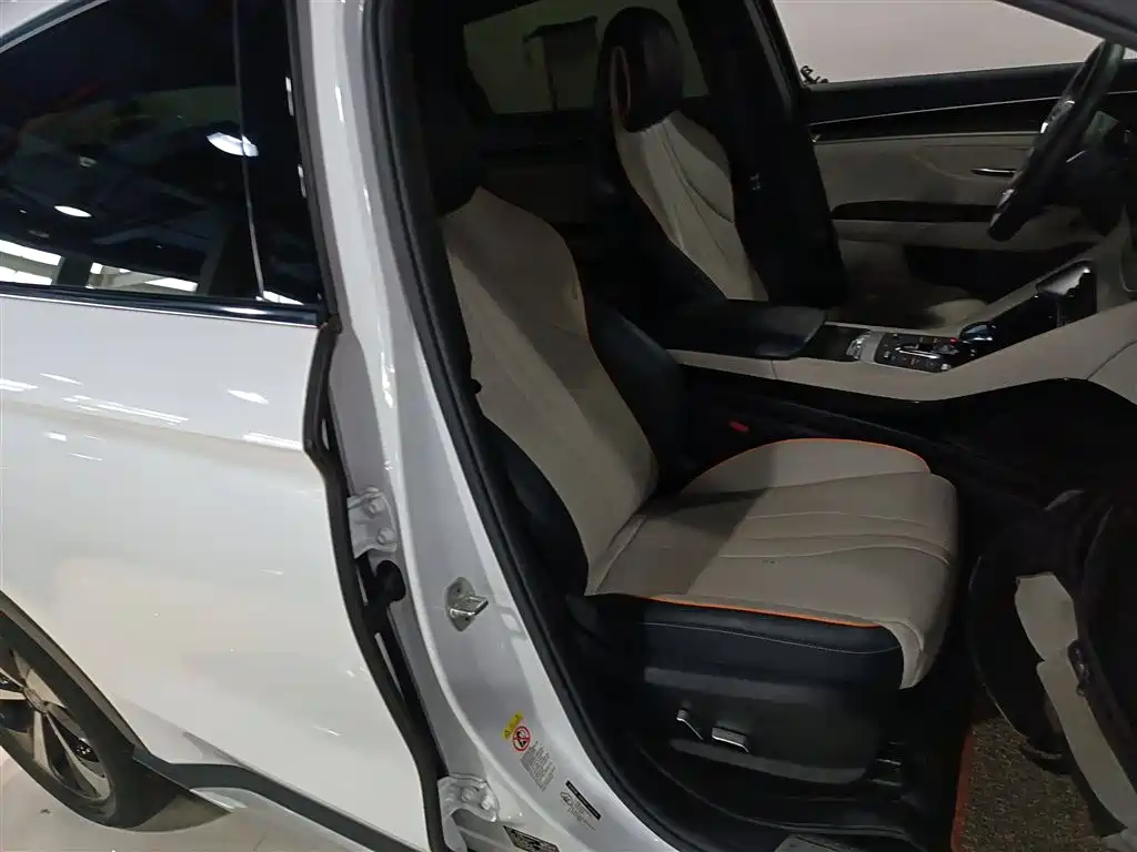 BYD PLUS New Energy 2021 — фото 25