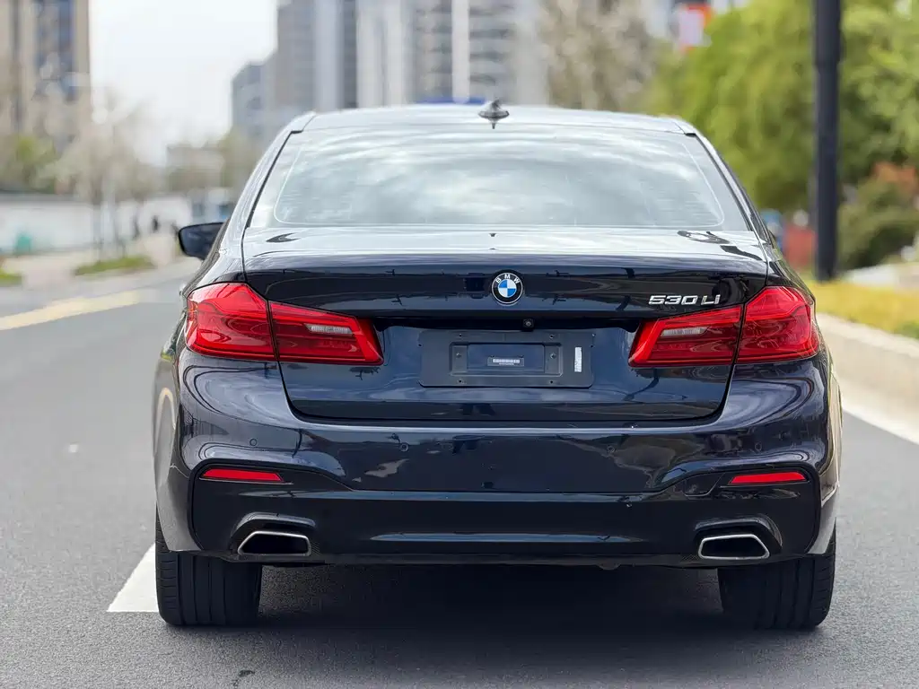 BMW 5 Series 2019 — фото 16
