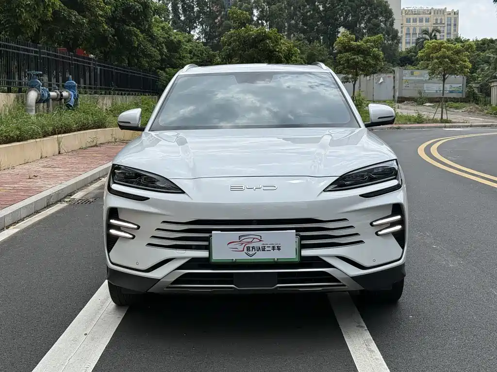 BYD PLUS New Energy 2024 — фото 2