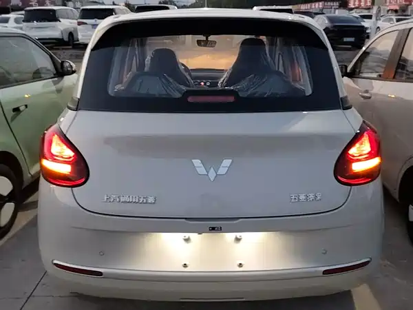 Wuling Bingo 2024