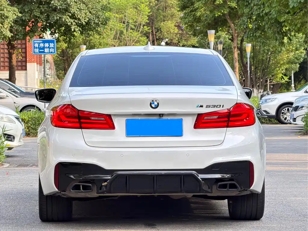BMW 5 Series 2019