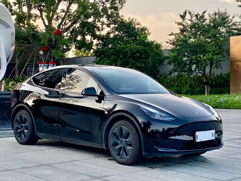 Tesla Model Y 2024 — фото 3