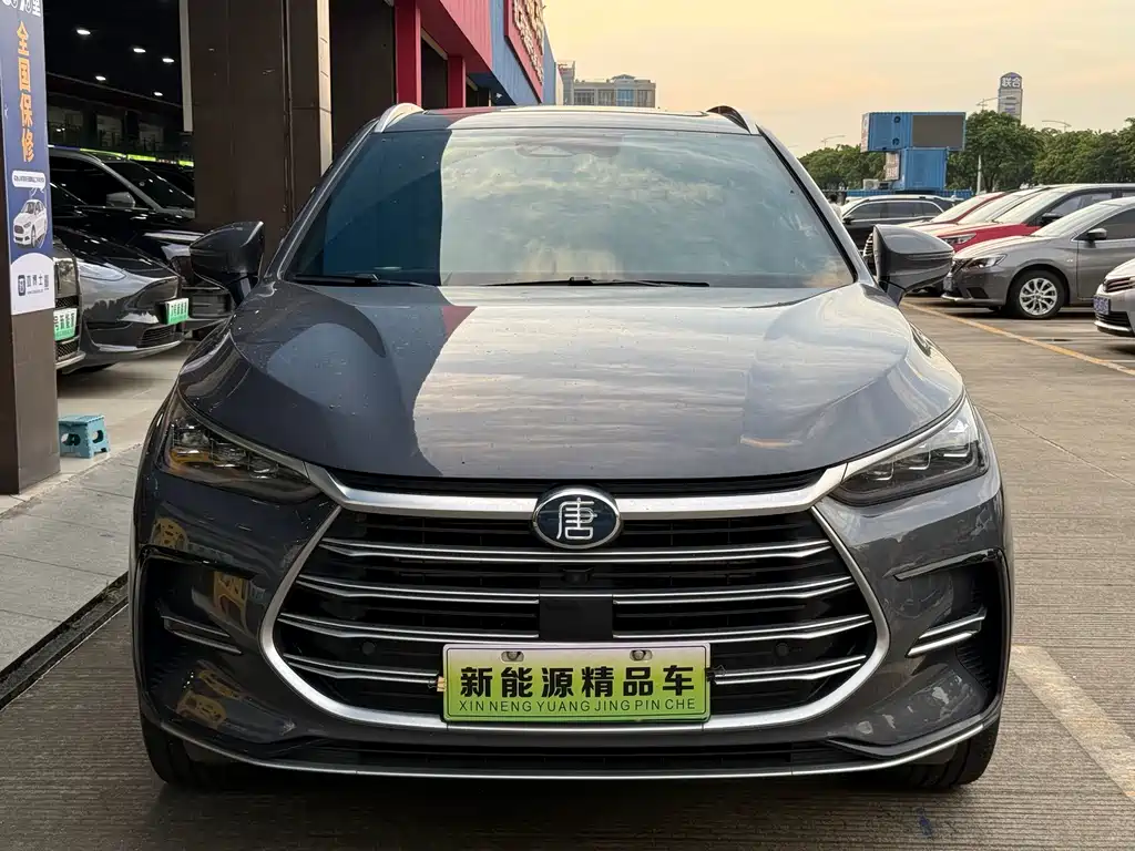 BYD Tang New Energy 2023 — фото 2