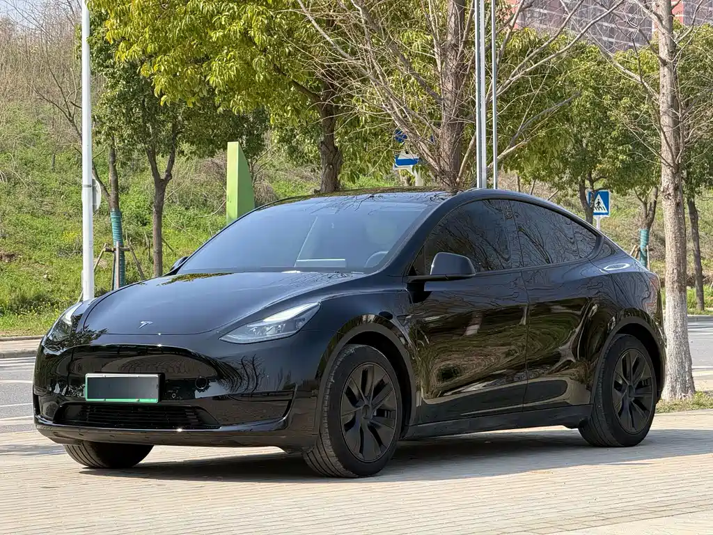 Tesla Model Y 2024