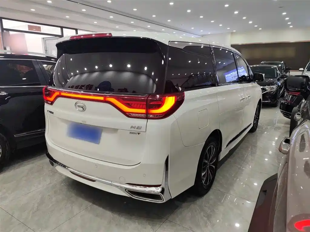 GAC Motor Trumpchi M8 2020 — фото 12