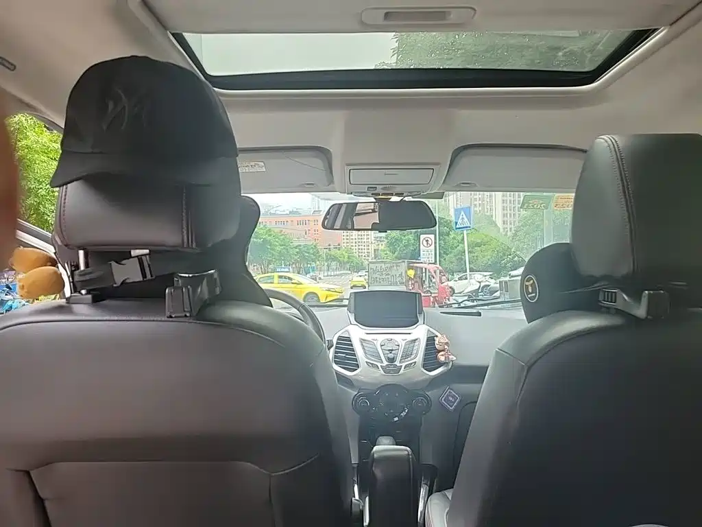 Ford Ecosport 2015 — фото 15