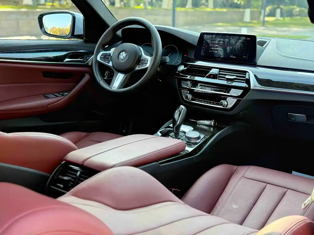 BMW 5 Series 2019 — фото 6