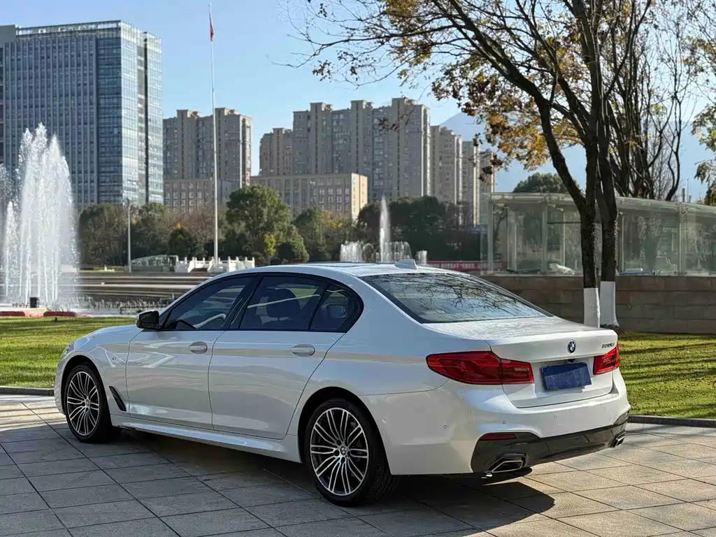 BMW 5 Series 2019 — фото 15