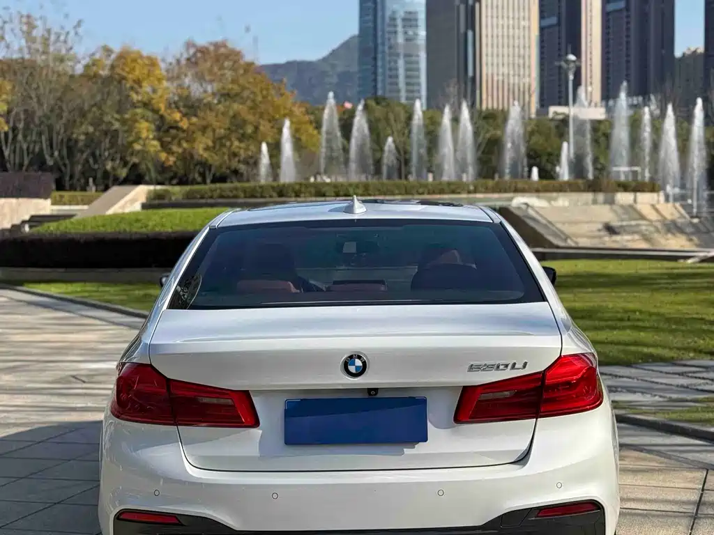 BMW 5 Series 2019 — фото 14