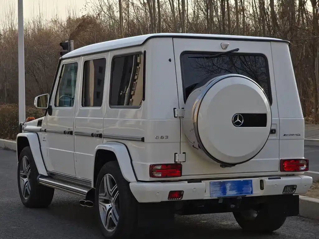 Mercedes-Benz G-Class AMG 2014 — фото 10