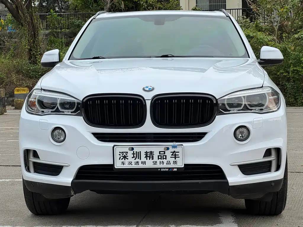 BMW X5 2015 — фото 2