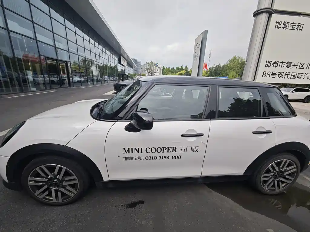 MINI MINI 2025