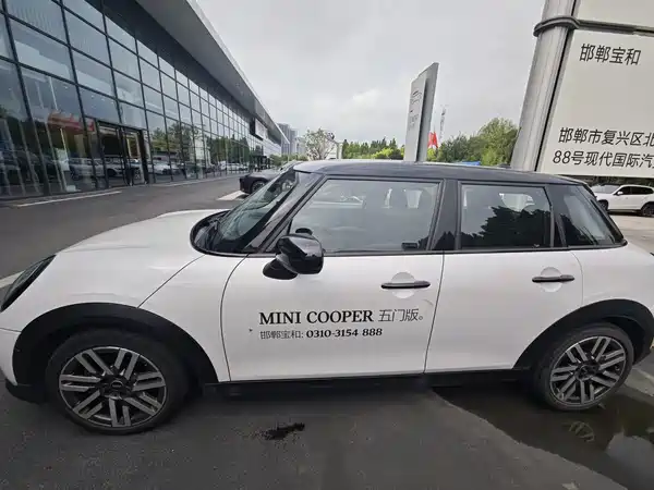 MINI MINI 2025