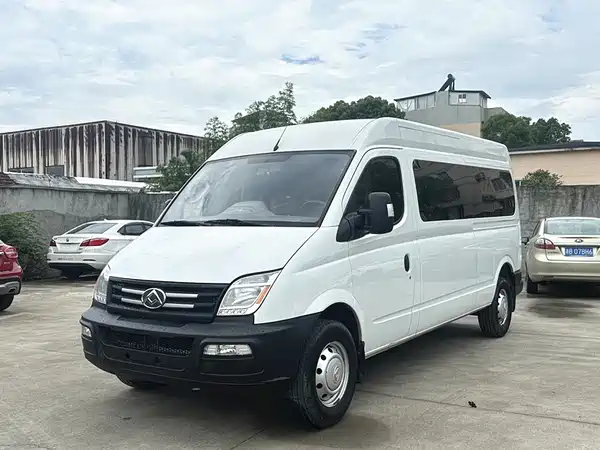 Maxus V80 2019