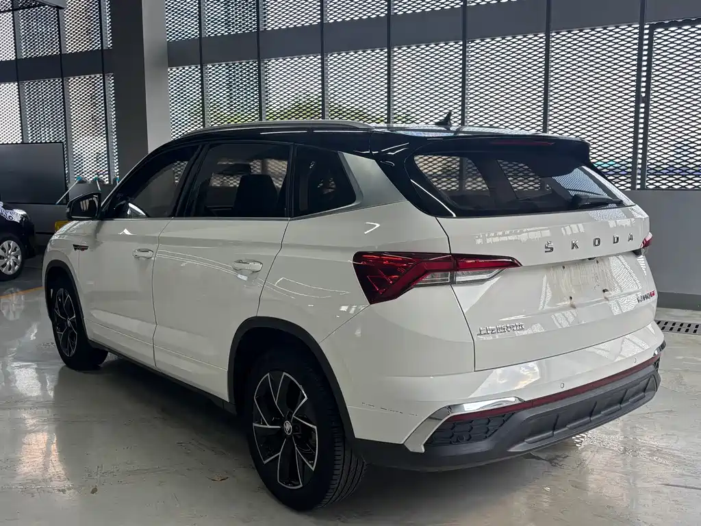 Skoda Kamiq 2020 — фото 11