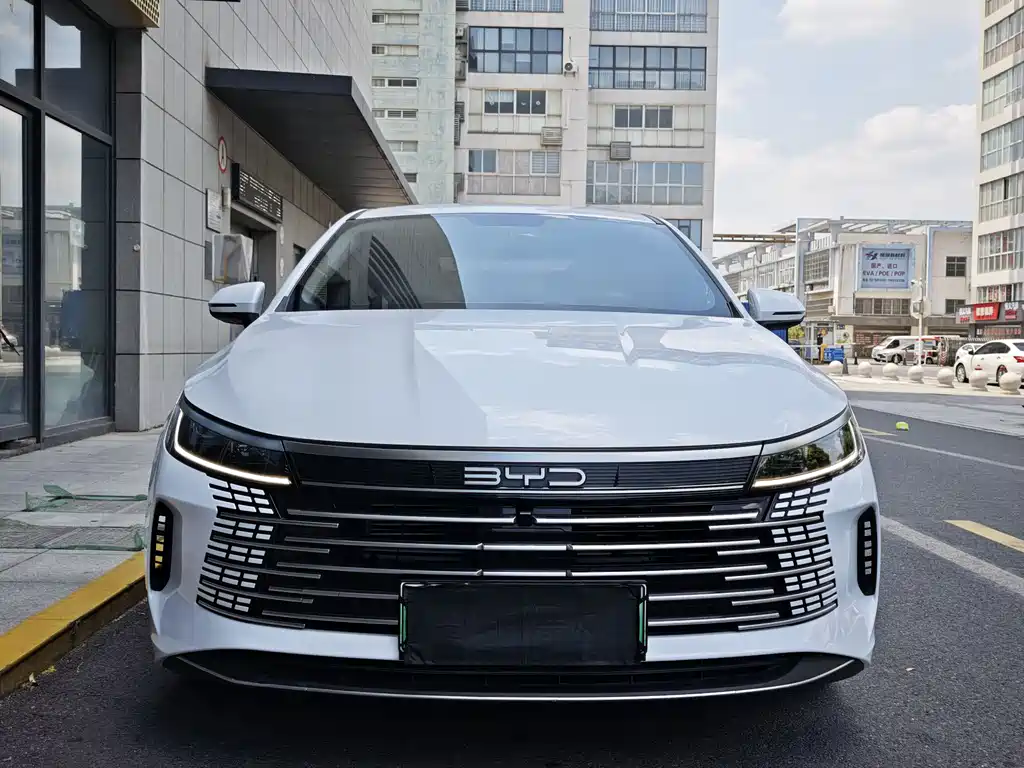BYD Destroyer 05 2023 — фото 2